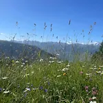 Eichhorner