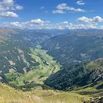 Eichhorner *